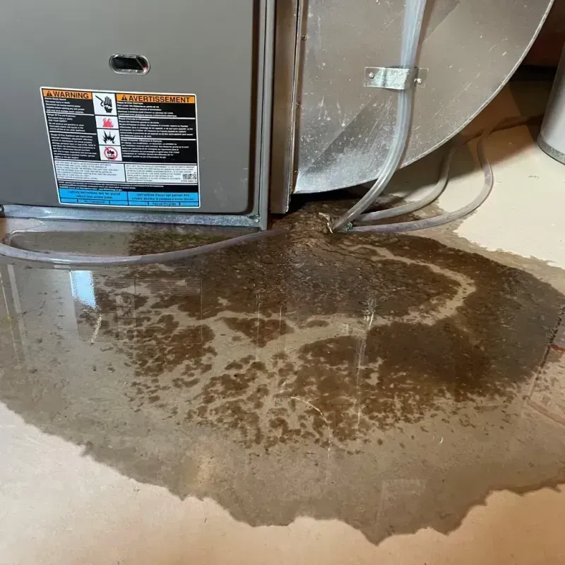 Appliance Leak Cleanup in Dallas County, IA